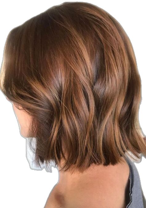 Sun Kissed Brown Hair, Honey Brown, Hair Design, Medium Length Hair Cuts, Sun Kissed, Hair Designs, Medium Length Hair Styles, Medium Length, Brown Hair