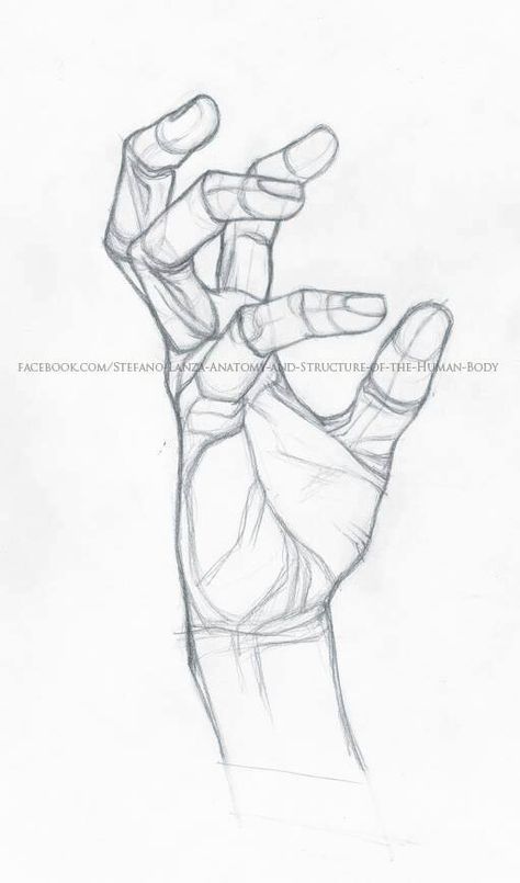 Skitse Bog, Desen Realist, Drawing Hands, Drawing Eyes, Výtvarné Reference, Human Anatomy Drawing, Hand Drawing Reference, Shoulder Tattoos, Anatomy Sketches