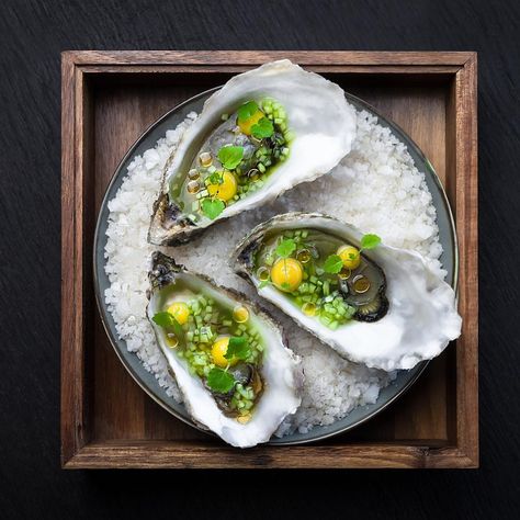 Fines de Claire Oyster with Cucumber, Lychee & Calamansi Lime Oyster Recipes, Michelin Star Chef, Presentation Ideas, New Menu, Michelin Star, Chef Life, Food Presentation, Food Plating, Food Photo