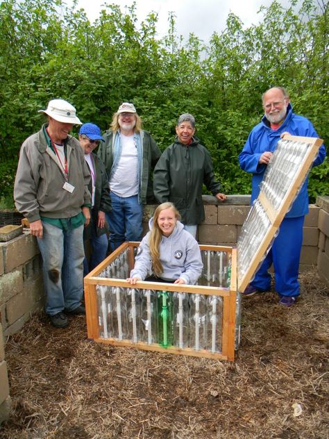 Plastic Bottle Greenhouse, Cheap Greenhouse, Best Greenhouse, Outdoor Greenhouse, نباتات منزلية, Indoor Greenhouse, Greenhouse Interiors, Home Greenhouse, Washington State University