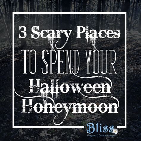 Great places to spend your Halloween Honeymoon! Halloween Honeymoon, Halloween Themed Wedding, Scary Places, Themed Wedding, Halloween Themes, Great Places, Some Fun, Chalkboard Quote Art, Romance