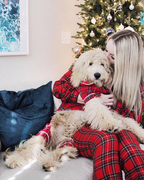 Cute Christmas with Puppy! ❤️ Matching Christmas PJs . Family pajamas . Dog pajamas . Dog Mom . Puppy Mama . Doggy Christmas . Santa Paws . Christmas Pictures With Dog, Couples Christmas Pictures, Pjs Family, Cute Christmas Pajamas, Dog Christmas Pictures, Christmas Couple Pictures, Christmas Dog Treats, Christmas Pjs Family, Dog Needs