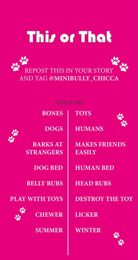 This or that for Instagram Story and community bonding ❤️ This Or That Dog Edition, Instagram Content Calendar, Treat Business, Pet Cafe, Puppy Checklist, Instagram Hacks, Halloween Post, Pet Treat, Dog Business