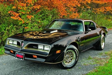 1978 Pontiac Firebird, Firebird Car, 1978 Pontiac Trans Am, Pontiac Trans Am, Pontiac Firebird Trans Am, Pontiac Cars, Classic Cars Trucks Hot Rods, Firebird Trans Am, Trans Am