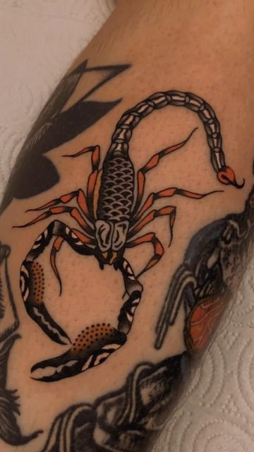 Ad Tender on Instagram: "FOR TATTOO APPOINTMENTS: adrien.tender@gmail.com" Scorpion Tail Tattoo, Trad Scorpion Tattoo, Traditional Cannon Tattoo, Animal Tattoo Traditional, His Dark Materials Tattoo, Scorpion Tattoo Traditional, Dragon Tattoo Traditional, Black Arm Tattoo, Scorpion Aesthetic