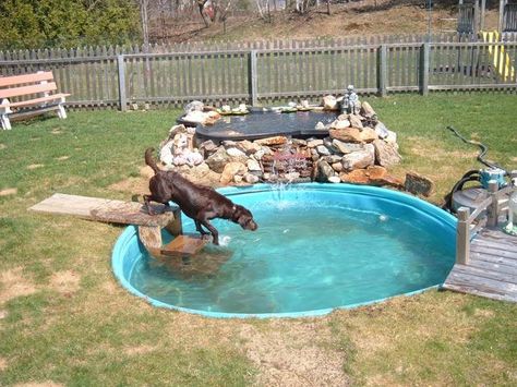 Labrador dog pool pond backyard Dog Pond, Dog Friendly Backyard, Dog Backyard, Dog Yard, Dog Playground, Dog Pool, Dog Swimming, Dog House Diy, Dog Area