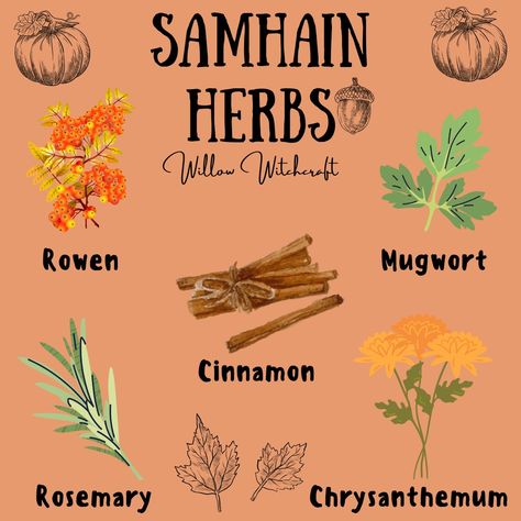 Samhain Jar, November Witchcraft, September Witchcraft, Samhain Spell Jar, Samhain Herbs, Wiccan Samhain, Samhain Correspondences, Samhain Witchcraft, Nocturnal Witch