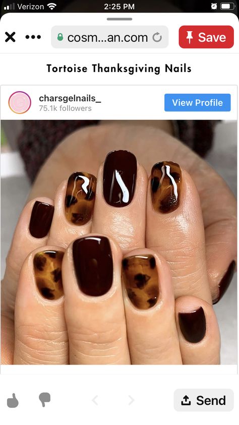 Tortishell Nails Design, Tiger Nail Art, Tiger Nails, Beach Nail Designs, Brown Nails Design, Modern Nails, Casual Nails, Leopard Nails, Animal Nails