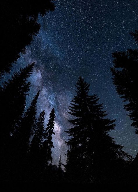 Stary Sky Aesthetic, Star Trails Photography, Milky Way Photos, Astronomy Photography, Owl Silhouette, Milky Way Stars, Milky Way Photography, Long Exposure Photos, Night Sky Photography