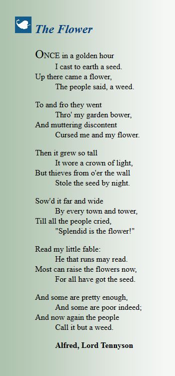 The Flower - Alfred Lord Tennyson - I had to memorize this poem in junior high and have remembered it ever since - well mostly - Amy Tennyson Poems, Flower Poem, Lord Tennyson, Classic Poems, Alfred Lord Tennyson, Inspirational And Motivational Quotes, Beautiful Poetry, Poems Beautiful, Poetry Words