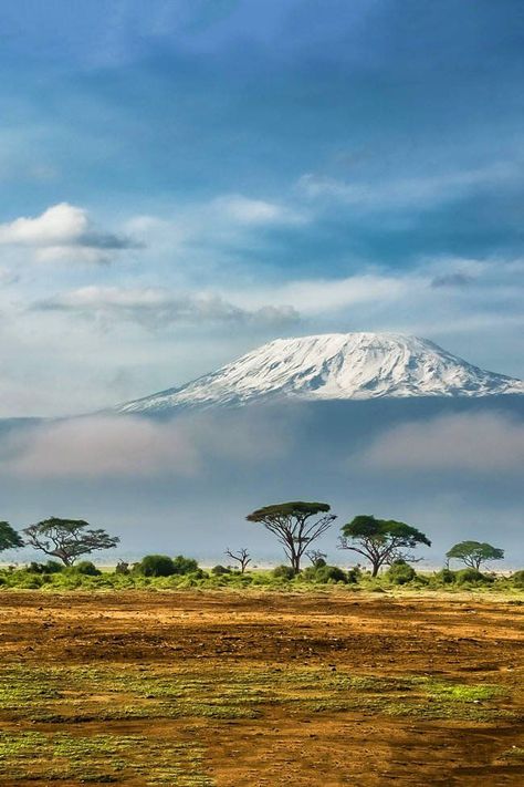 Tanzania Travel, Kenya Travel, Mount Kilimanjaro, Photography Beach, Mombasa, Countries To Visit, Best Hikes, Best Places To Visit, Africa Travel