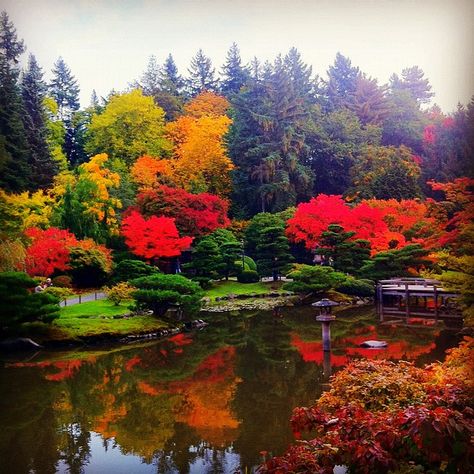 Arboretum Seattle | Seattle Japanese Garden in Washington Park Arboretum | Flickr - Photo ... Seattle Arboretum, Seattle Japanese Garden, Seattle Trip, Seattle Photos, Seattle Food, Art In The Park, Seattle Travel, Sleepless In Seattle, Japanese Garden Design