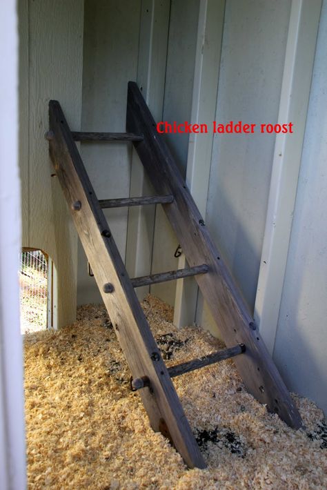 chicken roosting bars | Roost - we used our old swingset monkey bars for our roost. We may add ... Feeder For Chickens, Chicken Ladder, Roosting Bars, Urban Chicken Farming, Chicken Roost, Easy Chicken Coop, Portable Chicken Coop, Chicken Pen, Grid Panel