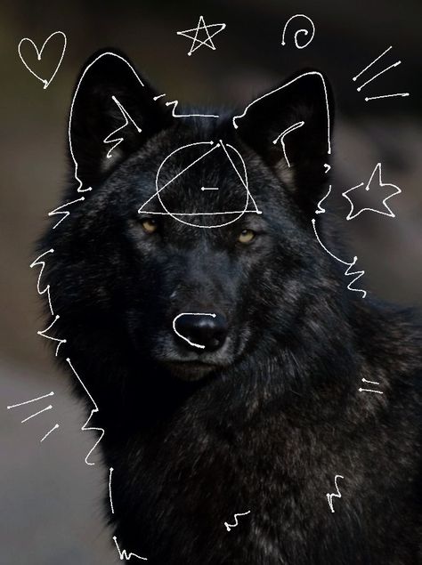 Black Wolf Therian, Wolf Therian, Black Wolf, Please Do, Made By Me, A Black, Black