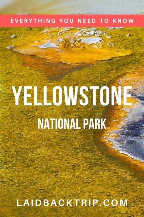 Do you want to get the most of your trip to Yellowstone National Park? It is essential to plan your trip properly, that's why we've created this travel guide, where we cover everything you need to know before visiting Yellowstone National Park. From when to visit, where to stay, and what to see, we've got covered. | #yellowstonenationalpark #yellowstonenationalparkthingstoknow #yellowstonenationalparkphotography #yellowstonenationalparktravelguide Trip To Yellowstone National Park, Yellowstone National Park Vacation, Yellowstone Trip, Wyoming Travel, American National Parks, Usa Destinations, Visit Yellowstone, West Yellowstone, National Park Vacation