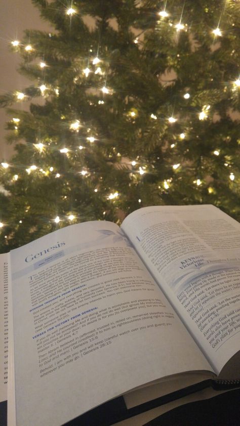 There's nothing better than reading your Bible beside a Christmas tree Christmas Aesthetic Christian, Christian Christmas Aesthetic, Bible Study Christmas, Christmas Bible Study, Reading Your Bible, Christmas Core, Bookworm Aesthetic, Christmas Christian, Christmas Vibe