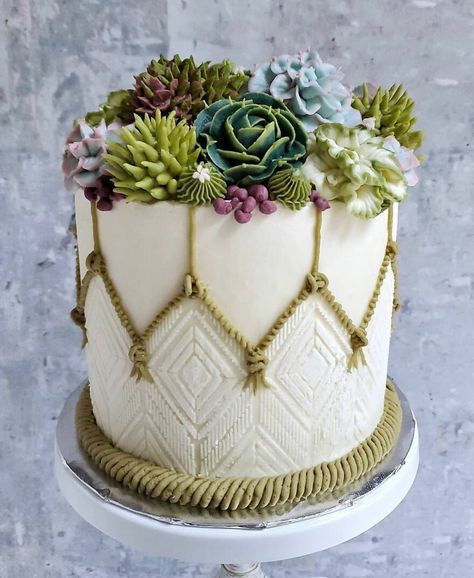 Southington Connecticut, Succulent Cake, Cactus Rose, Summer Cakes, Cake Decorating Designs, Shag Rugs, Cute Birthday Cakes, Specialty Cakes, Dessert Decoration