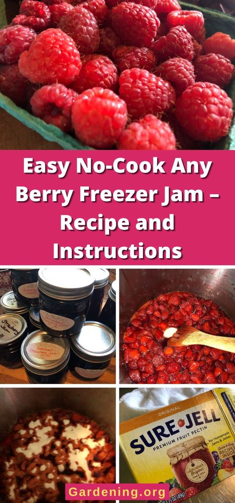 Easy No-Cook Any Berry Freezer Jam – Recipe and Instructions Mixed Berry Jam, Freezer Jam Recipes, Freezer Jam, No Cook, Berry Jam, Jam Recipe, Jelly Recipes, Different Fruits, Homemade Jam