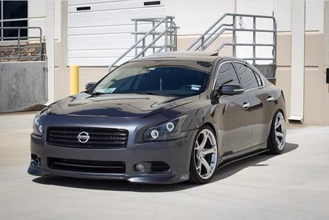 Nissan Maxima A35 7th Gen VQ35DE w/370Z NISMO wheels New Nissan Maxima, 2010 Nissan Maxima, 2011 Nissan Maxima, Mod Cars, 370z Nismo, Nissan Hardbody, Funny Horse Videos, Japanese Sports Cars, Sport Sedan