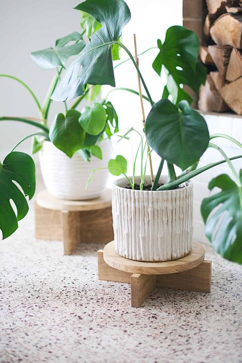 Modern Plant Stand, Wooden Plant Stands, Support Plante, Wood Plant Stand, Diy Plant Stand, Plant Stand Indoor, Plant Stands, Beginner Woodworking Projects, Unique Plants