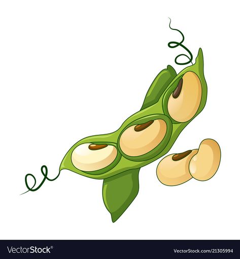 Beans Drawing, Bean Illustration, Beans Illustration, Bean Cartoon, Kids Graphic Design, Vegetable Drawing, Packaging Snack, Vegetable Cartoon, Garden Labels