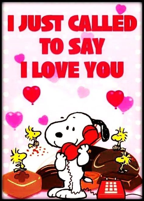 I just called to say I love you love love quotes quotes quote relationship relationship quotes love sayings love pictures i love you quotes love image quotes best love quotes love quotes for instagram facebook love quotes love.pic love captions love pictures for her short love captions love images and quotes love quotes 2021 Snoopy Song, Snoopy Videos, Snoopy Und Woodstock, Snoopy Happy Dance, Snoopy Dance, Good Morning Snoopy, Snoopy Valentine, Happy Day Quotes, Snoopy Dog