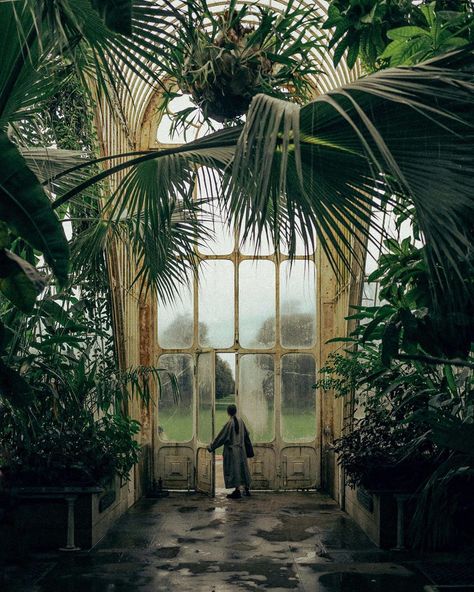 Alixe | London on Instagram: “Kew Gardens, January 2020.” Green Emoji, Green Academia, Garden Photography, Kew Gardens, Garden Photos, Oblivion, Gorgeous Gardens, Instagram Page, Winter Garden