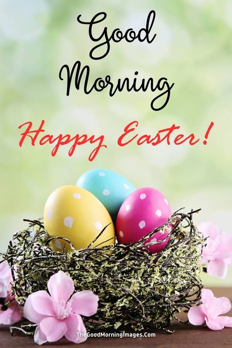 good morning easter images Happy Easter Friend, Good Morning Happy Easter, Morning Babe Quotes, Good Morning Babe Quotes, Good Morning Babe, Easter Bunny Images, Happy Easter Images, Morning Babe, Morning Sunday Images