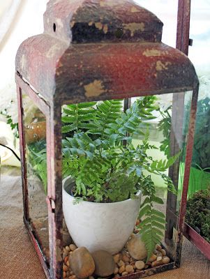 Lantern Terrarium, Old Lanterns, Lantern Ideas, Garden Junk, Terrarium Diy, Small Toys, Spring Ideas, Bits And Pieces, Lanterns Decor