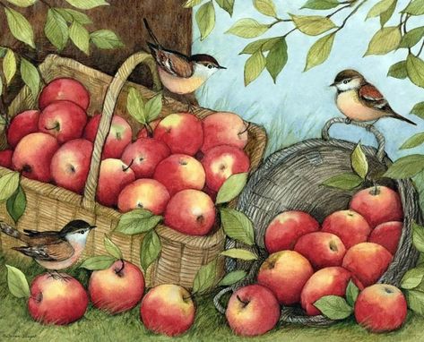 Apple Illustration, Christmas Scrapbook Layouts, Color Pencil Illustration, Decoupage Printables, Animal Printables, Susan Winget, Watercolor Fruit, Christian Posters, Apple Prints