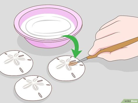 How to Harden a Sand Dollar: 8 Steps (with Pictures) - wikiHow Painted Sand Dollars, Sand Dollar Craft, Sand Dollar Art, Seashell Art Diy, Sand Dollar Ornament, Sand Dollar Necklace, Oyster Shell Crafts, Shells And Sand, Seashell Projects