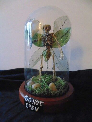 Rucus Studio, Skeleton Fairy, Pumkin Decoration, Scott Smith, Skull Crafts, Halloween Things, Witchy Crafts, Glass Cloche, Gothic Home