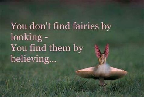 Believe!! Fairy Quotes, Believe In Fairies, Sacred Garden, Unicorn And Fairies, Fairy Pictures, Fairy Friends, Love Fairy, Fairies Elves, Fairy Magic