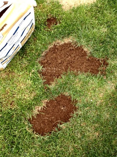 Repairing Dog Pee Spots in Your Yard Dog Potty Area, Muddy Dog, Dog Urine, Dog Yard, Dog Potty, Dog Pee, Up Dog, Lawn Sign, Dog Activities