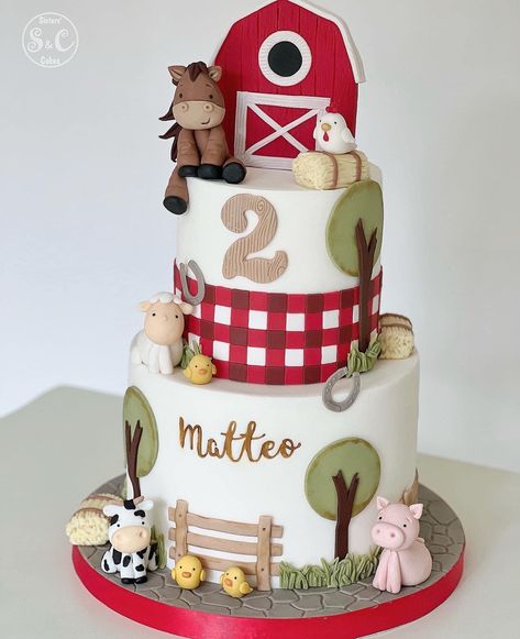 Simple Barnyard Birthday Cake, Petting Zoo Birthday Cake, Farm Theme First Birthday Cake, Three I E I O Cake, Farm Birthday Cake Ideas, Not My First Rodeo 2nd Birthday Cake, Birthday Cake Farm Theme, Farm Birthday Party For Boys, Farm Cake Ideas