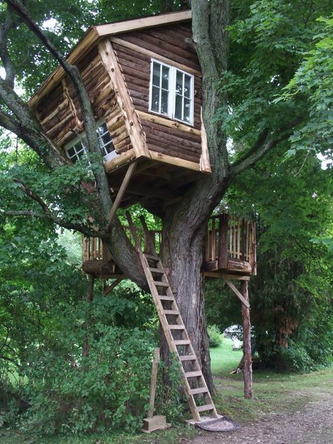 Backyard Tree House Aesthetic, Abandoned Treehouse, Tree Forts, Rebecca Jenshak, Tree Topper Ideas, Como Plantar Pitaya, Tree Ribbon Ideas, Simple Tree House, Luxury Tree Houses