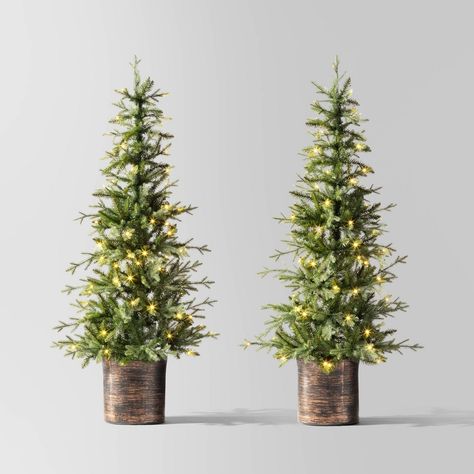 Illuminate your home with this 2-Piece Pre-lit Potted Balsam Fir Artificial Christmas Tree Set from Wondershop™. Set within a decorative pot for easy placement, this set of two artificial balsam fir trees features lush green hinged branches and comes pre-strung with 90 warm white LED bulbs on each tree that bring a festive ambience to your living space. With two in the set, you can opt to set them up in different rooms to spread holiday cheer throughout your home or place both in the same room f Balsam Fir Christmas Tree, Porch Christmas Tree, Balsam Tree, Christmas Tree Clear Lights, Potted Christmas Trees, Fir Christmas Tree, Outdoor Christmas Tree, Warm White Led Lights, Pre Lit Christmas Tree