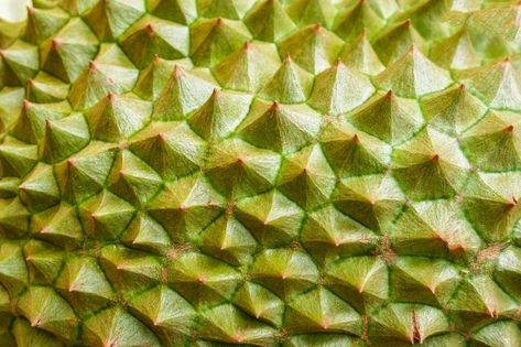 Premium Photo | Durian skin / close up of tropical fruit durian texture background Biomimicry Architecture, Business Fonts, Card Creative, Blue Backdrops, Tropical Fruits, Business Cards Creative, Wooden Background, Texture Background, Tropical Fruit