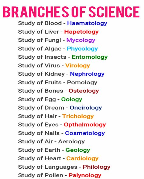 Cardiology Study, General Knowledge For Kids, Teaching Math Strategies, Branches Of Science, Phonetic Alphabet, Knowledge Quiz, Math Strategies, Weird Words, Nursing Notes