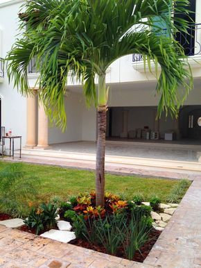 CASA CP-34: Jardines de estilo moderno por EcoEntorno Paisajismo Urbano Palm Trees Landscaping, Walkway Landscaping, Small Front Yard Landscaping, Front Yard Garden Design, Landscape Design Plans, Front Yard Garden, Yard Design, Diy Garden Projects, Tropical Landscaping