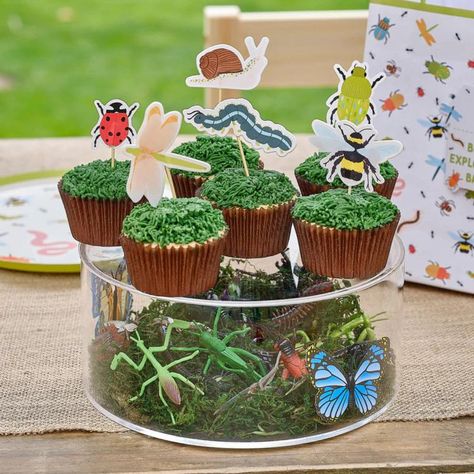 Bug lover in your household?? 🪲🐞🐛  Our new "Bugging Out" party supplies range is for the little bug-enthusiasts, because let's face it, bugs are actually pretty cool!  #kidsparty #kidspartythemes #kidsthemes #kidsparties #childrensparty #partyideas #kidspartyideas #kidsbirthday #boysbirthday #girlsbirthday #birthday #birthdaypartyideas #birthdayideas Love Bug Party, Nature Birthday Party, Bug 1st Birthday, Insect Party, Bug Cupcakes, Bug Baby Shower, Bug Birthday Party, Birthday Party Decoration Ideas, Treat Table