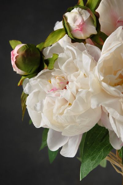 Clutch Bouquet, Cream Peony, Peony Bouquets, Peony Bouquet, Silk Peonies, Peony Flowers, Peonies Bouquet, White Peonies, Gardening Supplies