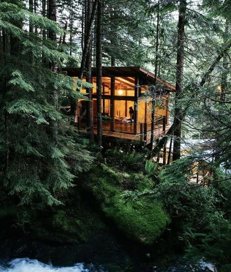 A really cool cabin right by the river in British Colombia! It must be amazing falling asleep to the sound of the river every night Tree House Interior, Great Bear Rainforest, All Inclusive Honeymoon, Wilderness Resort, Beach Cabana, Overwater Bungalows, Honeymoon Packages, Luxury Retreats, Cabins In The Woods