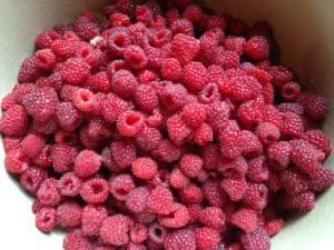 Seedless Raspberry Jam Recipe, Raspberry Jelly Recipe, Garden Preservation, Seedless Raspberry Jam, Low Sugar Jam Recipes, Raspberry Freezer Jam, Raspberry Pie Filling, Pectin Recipes, Low Sugar Jam