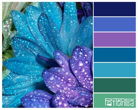 Peacock Color Scheme, Pantone Colour Palettes, Peacock Colors, Purple Color Palettes, Palette Design, Color Schemes Colour Palettes, Peacock Color, Bleu Violet, Morning Dew