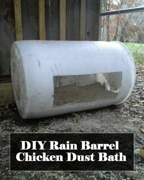 Chickens Homestead, Chicken Dust Bath, Diy Rain Barrel, Chicken Feeder Diy, Chicken Incubator, Portable Chicken Coop, Chicken Feeders, Dust Bath, Best Chicken Coop