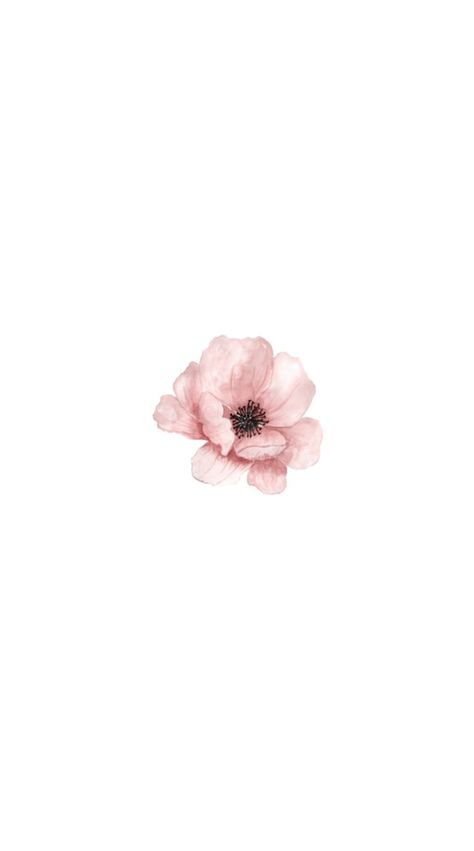 Floral Profile Pictures, Cute Backrounds, Nothing To Say, Cute Summer Wallpapers, Widget Design, Flowers Instagram, Simple Iphone Wallpaper, Canvas Painting Designs, Watercolor Flower Art