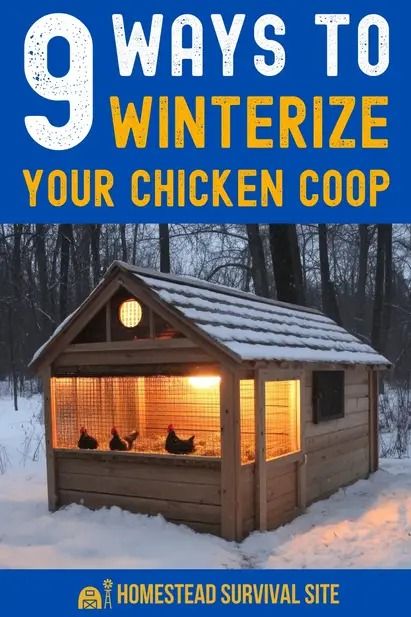 Ensure the safety and comfort of your chickens in the winter with these tips on how to winterize your chicken coop. Keep your chickens happy and healthy all winter long. Chicken Coop Cold Climate, Winter Chicken Coop, Chicken Coop Winter, Homestead Inspiration, Chicken Brooder, Survival Preparedness, Chickens In The Winter, Chicken Home, Chicken Feeders