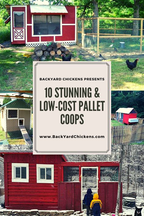 Chicken Coop Pallet Ideas, Chicken Coop Pallets Plans, Pallet Coop Plans, Chicken Coop Made With Pallets, Chicken House Pallets, Palette Chicken Coop Diy, Simple Coop Ideas, Chicken Coop Ideas Pallet, Chicken Coop Using Pallets