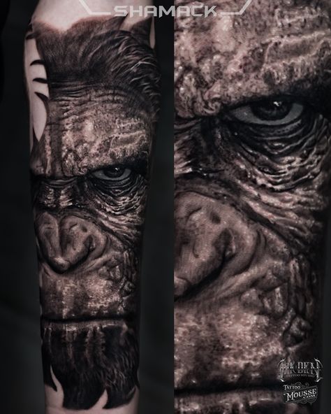 One of my favourite movies characters. #planetoftheapes #inkdentattoostudio #shamacktattoo #bristoltattooclub #blackpool #tattoomousse #supportgoodtattooers #ilovetattoo #ilovetattoos #ilovetattooing #tattoo #tattoos #thebesttattooartists #tattoooftheday #ukrealtattooists #tattooart #thebesttattooartists #tattooinspiration #tattooed #tattooartist #uktattoo #thebestbngtattooartists #thuglife #theslug #tattooartists Silverback Gorilla Tattoo, Planet Of The Apes Tattoo, Apes Tattoo, Gorilla Ink, Revelation Tattoo, Persian Tattoo, Salvation Tattoo, Animal Sleeve Tattoo, Gorilla Tattoo